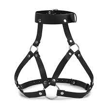 Body Harness