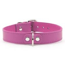 Pink Leather Collar
