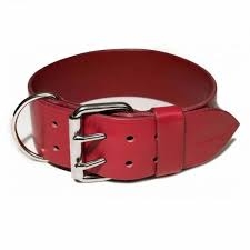 Leather Collar